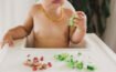 Bebê em sua cadeirinha comendo brócolis e uva - Guia completo da Introdução Alimentar do Bebê