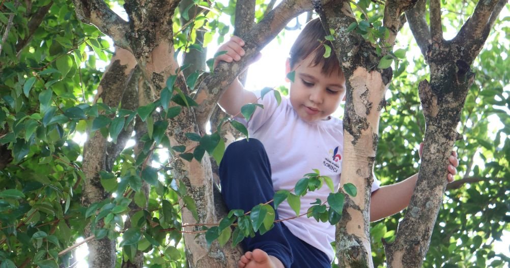Criança em cima de uma árvore - hábitos saudáveis
